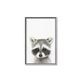 Picture of Coon Baby _GroupedProduct_Rectangle_Portrait_Mini_ _GroupedProduct_Rectangle_Portrait_Canvas_Framed_