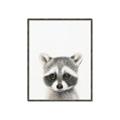 Picture of Coon Baby _GroupedProduct_Rectangle_Portrait_Mini_ _GroupedProduct_Rectangle_Portrait_Canvas_Framed_