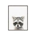 Picture of Coon Baby _GroupedProduct_Rectangle_Portrait_Mini_ _GroupedProduct_Rectangle_Portrait_Canvas_Framed_