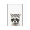 Picture of Coon Baby _GroupedProduct_Rectangle_Portrait_Mini_ _GroupedProduct_Rectangle_Portrait_Canvas_Framed_