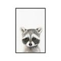 Picture of Coon Baby _GroupedProduct_Rectangle_Portrait_Mini_ _GroupedProduct_Rectangle_Portrait_Canvas_Framed_