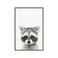 Picture of Coon Baby _GroupedProduct_Rectangle_Portrait_Mini_ _GroupedProduct_Rectangle_Portrait_Canvas_Framed_