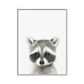 Picture of Coon Baby _GroupedProduct_Rectangle_Portrait_Mini_ _GroupedProduct_Rectangle_Portrait_Canvas_Framed_