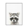 Picture of Coon Baby _GroupedProduct_Rectangle_Portrait_Mini_ _GroupedProduct_Rectangle_Portrait_Canvas_Framed_