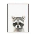 Picture of Coon Baby _GroupedProduct_Rectangle_Portrait_Mini_ _GroupedProduct_Rectangle_Portrait_Canvas_Framed_