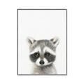Picture of Coon Baby _GroupedProduct_Rectangle_Portrait_Mini_ _GroupedProduct_Rectangle_Portrait_Canvas_Framed_