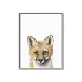 Picture of Foxy Baby _GroupedProduct_Rectangle_Portrait_Mini_ _GroupedProduct_Rectangle_Portrait_Canvas_Framed_