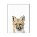 Picture of Foxy Baby _GroupedProduct_Rectangle_Portrait_Mini_ _GroupedProduct_Rectangle_Portrait_Canvas_Framed_