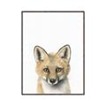 Picture of Foxy Baby _GroupedProduct_Rectangle_Portrait_Mini_ _GroupedProduct_Rectangle_Portrait_Canvas_Framed_