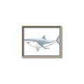 Picture of Great White Shark _GroupedProduct_Rectangle_Landscape_Mini_ _GroupedProduct_Rectangle_Landscape_Canvas_Framed_