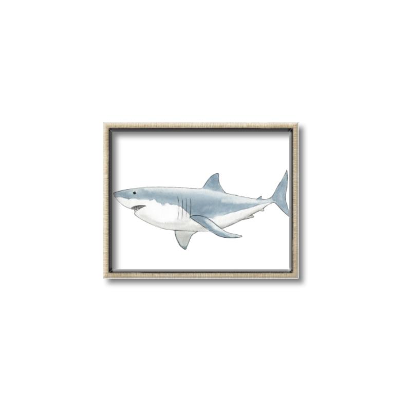 Picture of Great White Shark _GroupedProduct_Rectangle_Landscape_Mini_ _GroupedProduct_Rectangle_Landscape_Canvas_Framed_