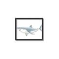 Picture of Great White Shark _GroupedProduct_Rectangle_Landscape_Mini_ _GroupedProduct_Rectangle_Landscape_Canvas_Framed_