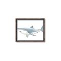 Picture of Great White Shark _GroupedProduct_Rectangle_Landscape_Mini_ _GroupedProduct_Rectangle_Landscape_Canvas_Framed_
