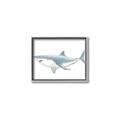 Picture of Great White Shark _GroupedProduct_Rectangle_Landscape_Mini_ _GroupedProduct_Rectangle_Landscape_Canvas_Framed_