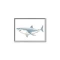 Picture of Great White Shark _GroupedProduct_Rectangle_Landscape_Mini_ _GroupedProduct_Rectangle_Landscape_Canvas_Framed_
