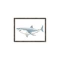 Picture of Great White Shark _GroupedProduct_Rectangle_Landscape_Mini_ _GroupedProduct_Rectangle_Landscape_Canvas_Framed_