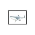 Picture of Great White Shark _GroupedProduct_Rectangle_Landscape_Mini_ _GroupedProduct_Rectangle_Landscape_Canvas_Framed_