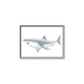 Picture of Great White Shark _GroupedProduct_Rectangle_Landscape_Mini_ _GroupedProduct_Rectangle_Landscape_Canvas_Framed_