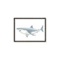 Picture of Great White Shark _GroupedProduct_Rectangle_Landscape_Mini_ _GroupedProduct_Rectangle_Landscape_Canvas_Framed_