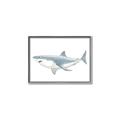 Picture of Great White Shark _GroupedProduct_Rectangle_Landscape_Mini_ _GroupedProduct_Rectangle_Landscape_Canvas_Framed_