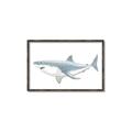 Picture of Great White Shark _GroupedProduct_Rectangle_Landscape_Mini_ _GroupedProduct_Rectangle_Landscape_Canvas_Framed_
