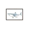 Picture of Great White Shark _GroupedProduct_Rectangle_Landscape_Mini_ _GroupedProduct_Rectangle_Landscape_Canvas_Framed_