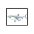 Picture of Great White Shark _GroupedProduct_Rectangle_Landscape_Mini_ _GroupedProduct_Rectangle_Landscape_Canvas_Framed_