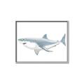 Picture of Great White Shark _GroupedProduct_Rectangle_Landscape_Mini_ _GroupedProduct_Rectangle_Landscape_Canvas_Framed_