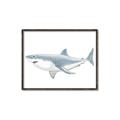Picture of Great White Shark _GroupedProduct_Rectangle_Landscape_Mini_ _GroupedProduct_Rectangle_Landscape_Canvas_Framed_