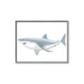 Picture of Great White Shark _GroupedProduct_Rectangle_Landscape_Mini_ _GroupedProduct_Rectangle_Landscape_Canvas_Framed_