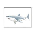Picture of Great White Shark _GroupedProduct_Rectangle_Landscape_Mini_ _GroupedProduct_Rectangle_Landscape_Canvas_Framed_