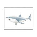 Picture of Great White Shark _GroupedProduct_Rectangle_Landscape_Mini_ _GroupedProduct_Rectangle_Landscape_Canvas_Framed_