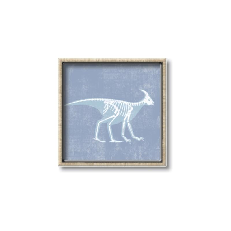 Picture of Blue X-ray Dino I _GroupedProduct_Square_Mini_ _GroupedProduct_Square_Canvas_Framed_