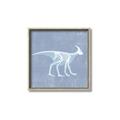 Picture of Blue X-ray Dino I _GroupedProduct_Square_Mini_ _GroupedProduct_Square_Canvas_Framed_