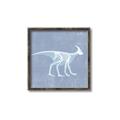 Picture of Blue X-ray Dino I _GroupedProduct_Square_Mini_ _GroupedProduct_Square_Canvas_Framed_