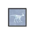 Picture of Blue X-ray Dino I _GroupedProduct_Square_Mini_ _GroupedProduct_Square_Canvas_Framed_