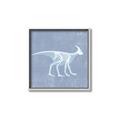 Picture of Blue X-ray Dino I _GroupedProduct_Square_Mini_ _GroupedProduct_Square_Canvas_Framed_