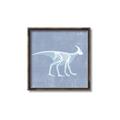Picture of Blue X-ray Dino I _GroupedProduct_Square_Mini_ _GroupedProduct_Square_Canvas_Framed_