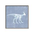 Picture of Blue X-ray Dino I _GroupedProduct_Square_Mini_ _GroupedProduct_Square_Canvas_Framed_