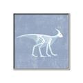 Picture of Blue X-ray Dino I _GroupedProduct_Square_Mini_ _GroupedProduct_Square_Canvas_Framed_