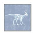 Picture of Blue X-ray Dino I _GroupedProduct_Square_Mini_ _GroupedProduct_Square_Canvas_Framed_
