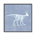 Picture of Blue X-ray Dino I _GroupedProduct_Square_Mini_ _GroupedProduct_Square_Canvas_Framed_