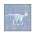 Picture of Blue X-ray Dino I _GroupedProduct_Square_Mini_ _GroupedProduct_Square_Canvas_Framed_