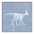 Picture of Blue X-ray Dino I _GroupedProduct_Square_Mini_ _GroupedProduct_Square_Canvas_Framed_
