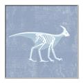 Picture of Blue X-ray Dino I _GroupedProduct_Square_Mini_ _GroupedProduct_Square_Canvas_Framed_
