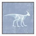 Picture of Blue X-ray Dino I _GroupedProduct_Square_Mini_ _GroupedProduct_Square_Canvas_Framed_