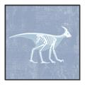 Picture of Blue X-ray Dino I _GroupedProduct_Square_Mini_ _GroupedProduct_Square_Canvas_Framed_
