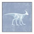 Picture of Blue X-ray Dino I _GroupedProduct_Square_Mini_ _GroupedProduct_Square_Canvas_Framed_
