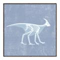 Picture of Blue X-ray Dino I _GroupedProduct_Square_Mini_ _GroupedProduct_Square_Canvas_Framed_
