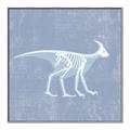 Picture of Blue X-ray Dino I _GroupedProduct_Square_Mini_ _GroupedProduct_Square_Canvas_Framed_
